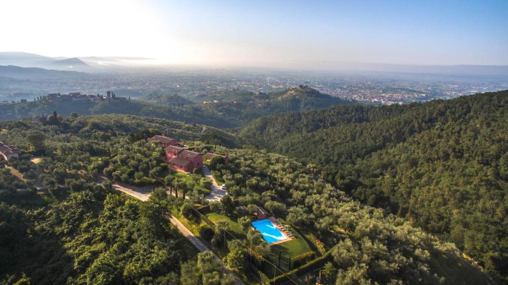 uma vista aérea de uma casa numa floresta em L'Agrumeto em Borgo a Buggiano