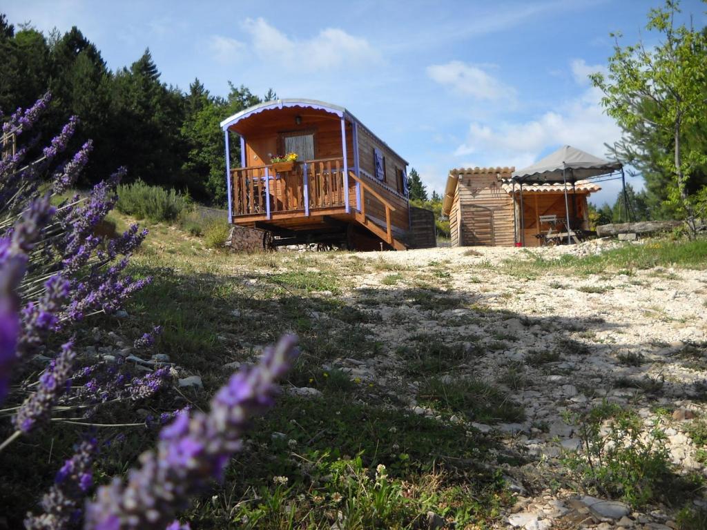 uma cabana de madeira num campo com flores roxas em Aurel inattendu em Aurel