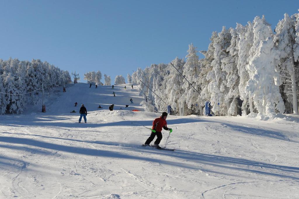 La Massana during the winter