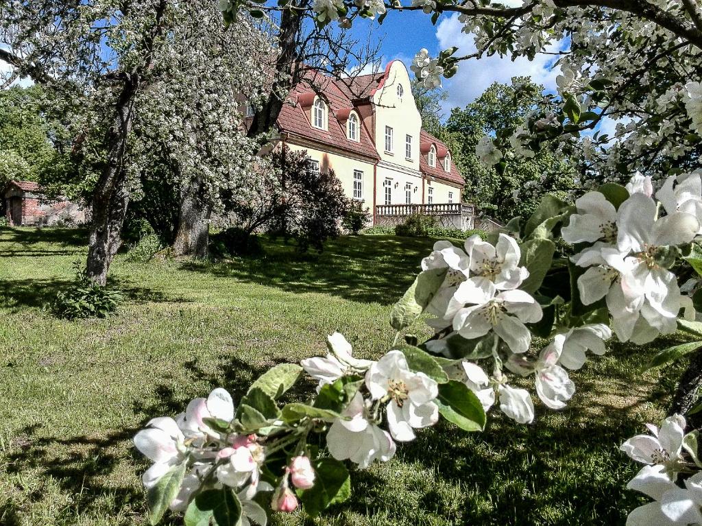 un montón de flores blancas delante de una casa en Maras Manor, en Turlava