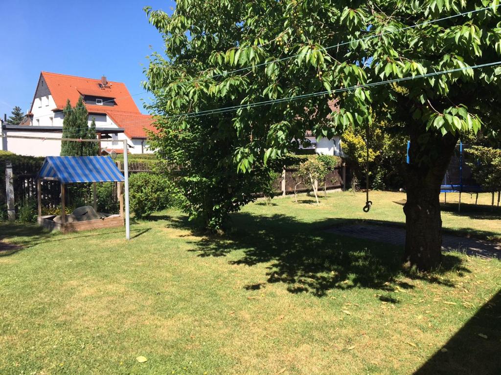 een schommel hangend aan een boom in een tuin bij Ferienhaus zentral & grün in Leipzig