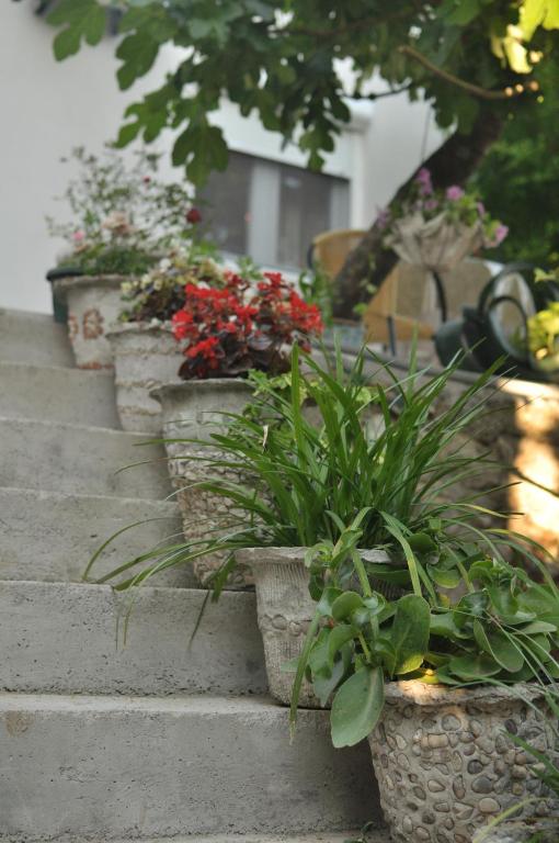 Apartments Casa Mia - 17