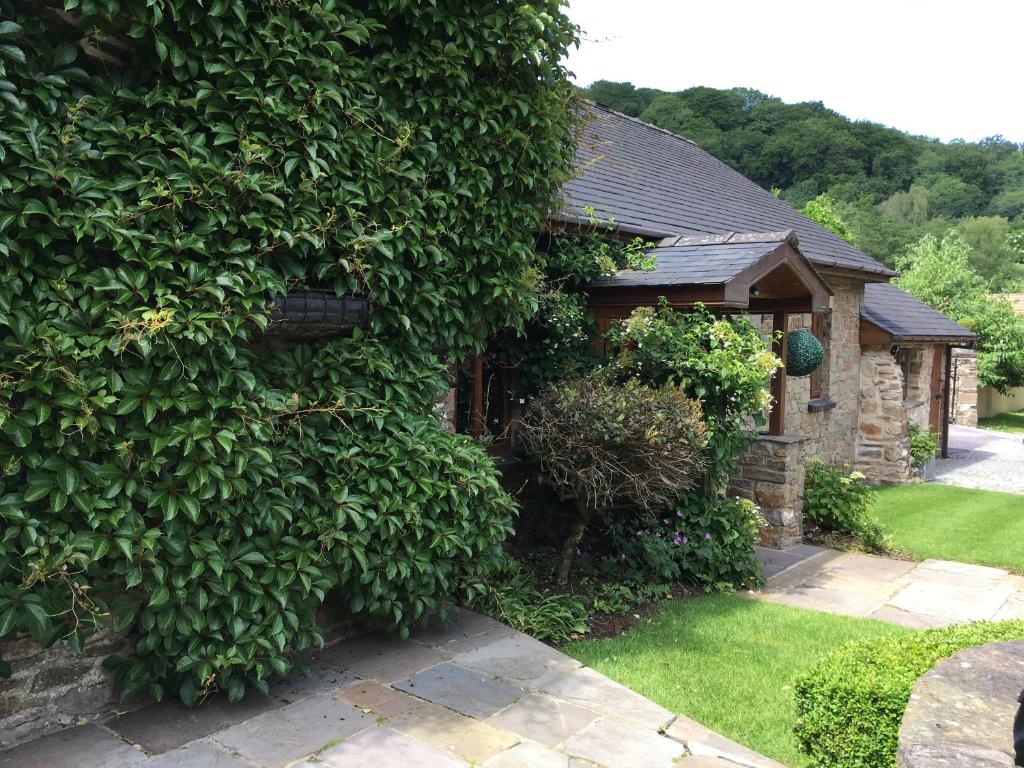 a house with a large ivy growing on the side of it at Ty Carreg Fach Staycation Cottage Cardiff in Cardiff