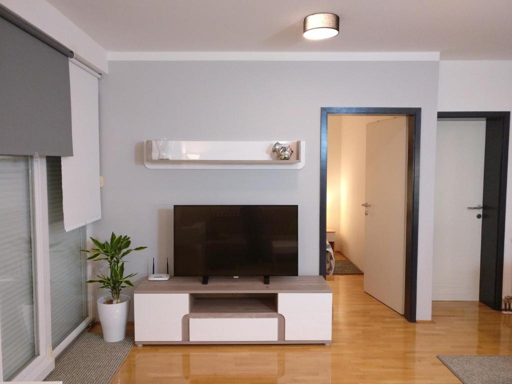 Televízia a/alebo spoločenská miestnosť v ubytovaní Apartman Luna near Zagreb Airport