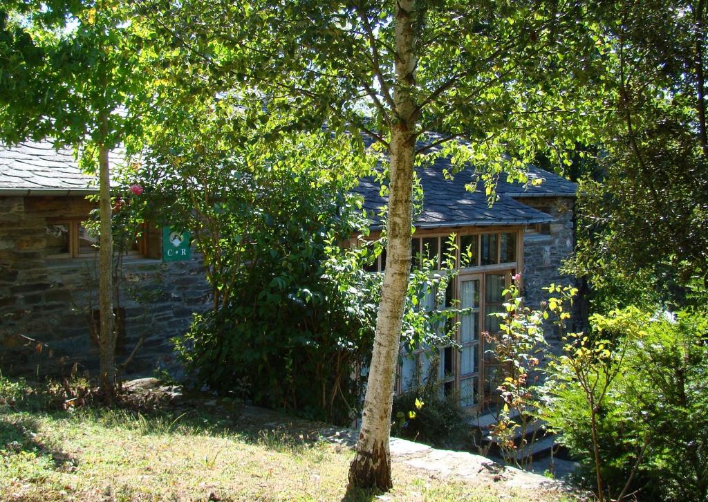 une maison en pierre avec un arbre en face de celle-ci dans l'établissement Casa dos Pedrouzos, à Doncos