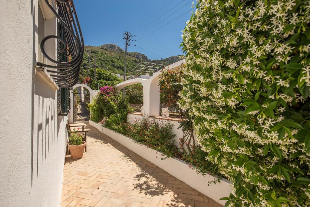 un vicolo con fiori sul lato di un edificio di B&B "i Magi" ad Anacapri