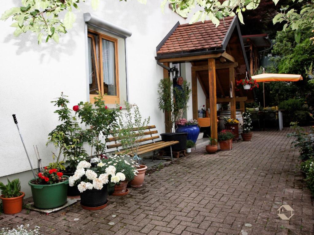 una panchina di fronte a una casa con piante in vaso di Haus Michler a Todtnau