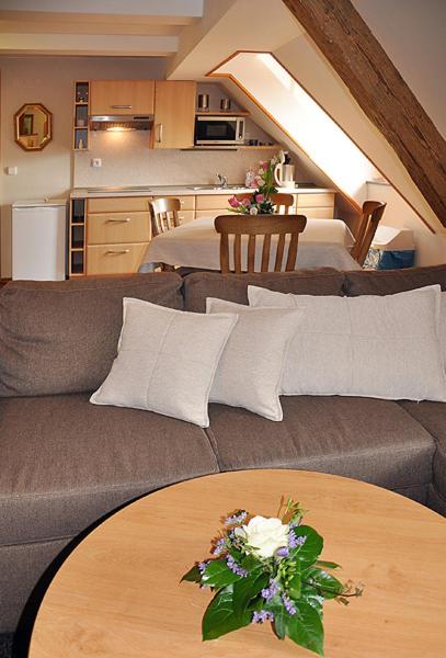 Kuchyň nebo kuchyňský kout v ubytování Apartmány Rosalka