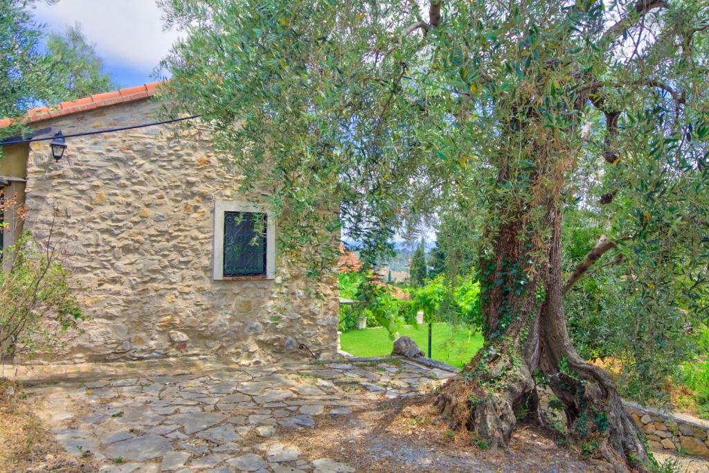 a stone house with a tree in front of it at Country Home il Passatempo in Diano Marina