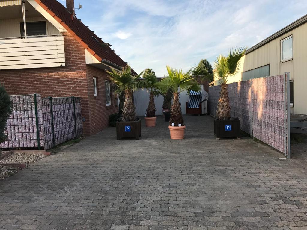 a courtyard with palm trees in pots in front of a house at Messe Apartment & Rooms Hänigsen in Hänigsen