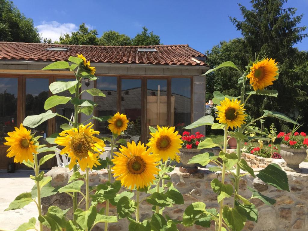 a group of sunflowers in front of a building at Gîte climatisé de La Haute Rue in Touvois