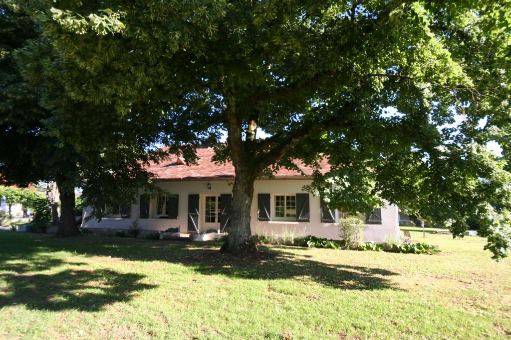 een wit huis met een boom in de tuin bij Domaine Myrobolan - Les Tilleuls in Vélines