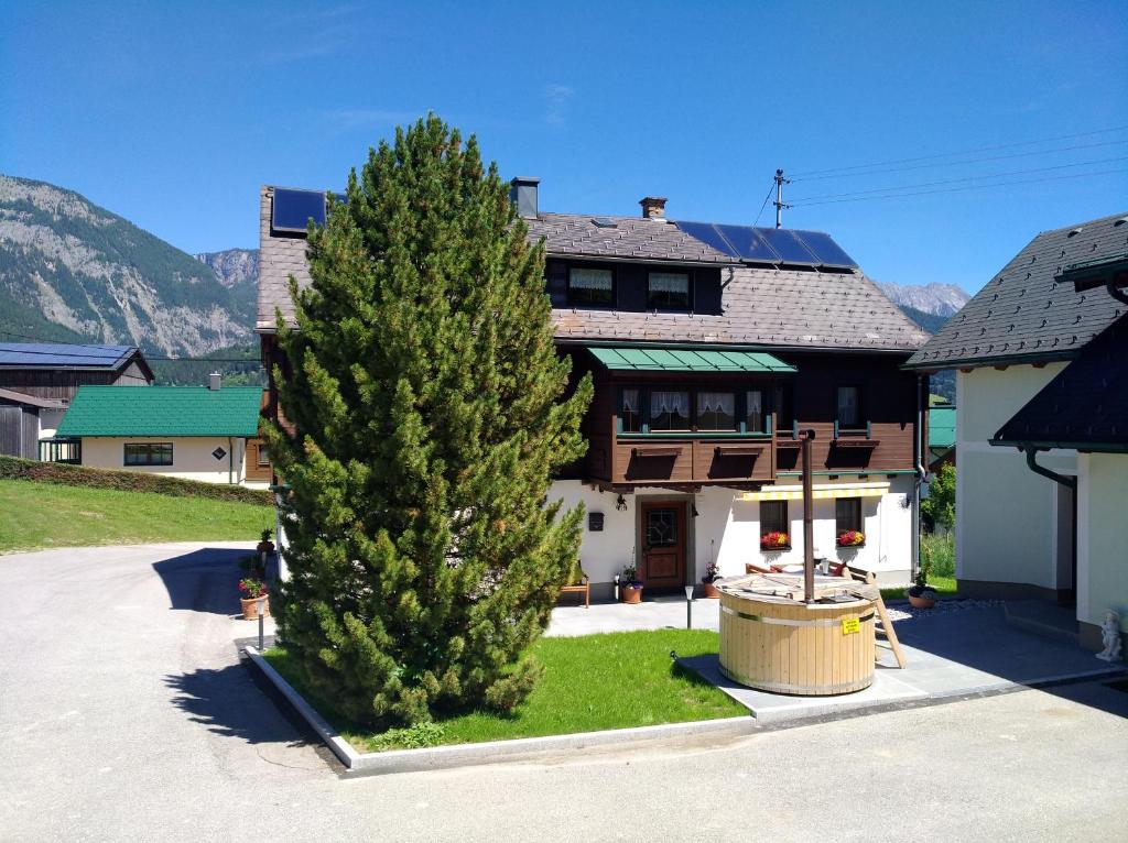 un gran pino frente a una casa en Schmiedgut, en Haus im Ennstal