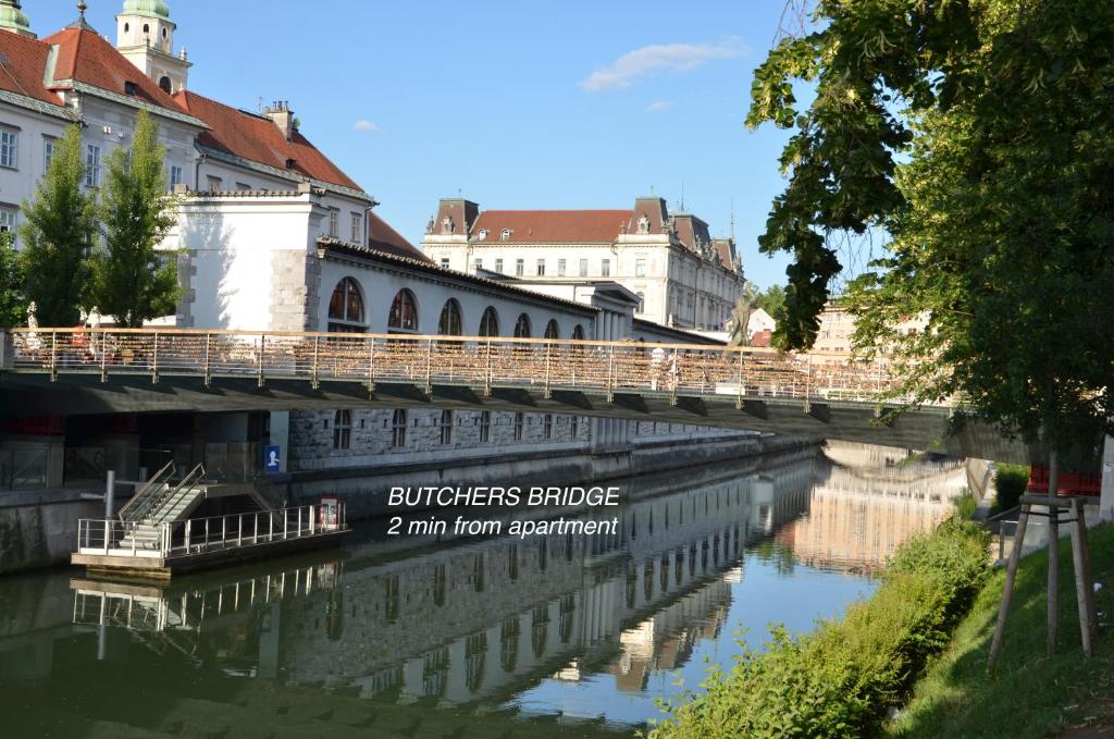 Příroda nedaleko apartmánu