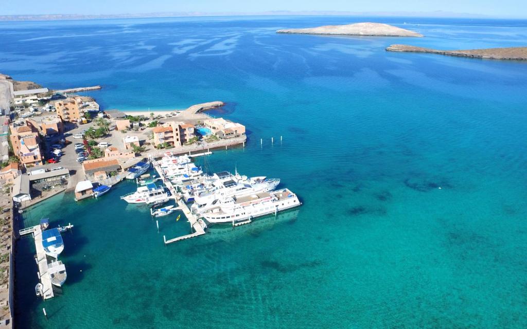 una vista aérea de un puerto con barcos en el agua en Club Cantamar Beach Hotel & Marina, en La Paz