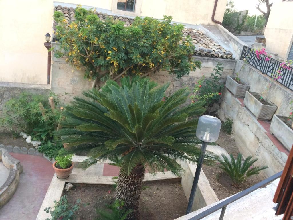 Zahrada ubytování B&B La Terrazza Dell'Itria