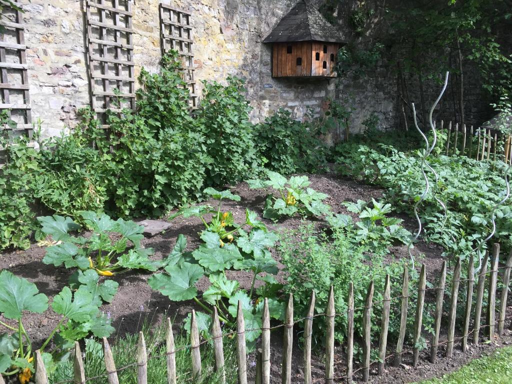 Zahrada ubytování Chambre d'Hôtes Les Augustins - Parking sécurisé - Borne de recharge