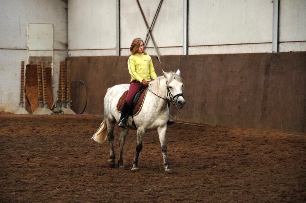 a woman riding a white horse in an arena at Filippus Vakantiehoeve in Maldegem