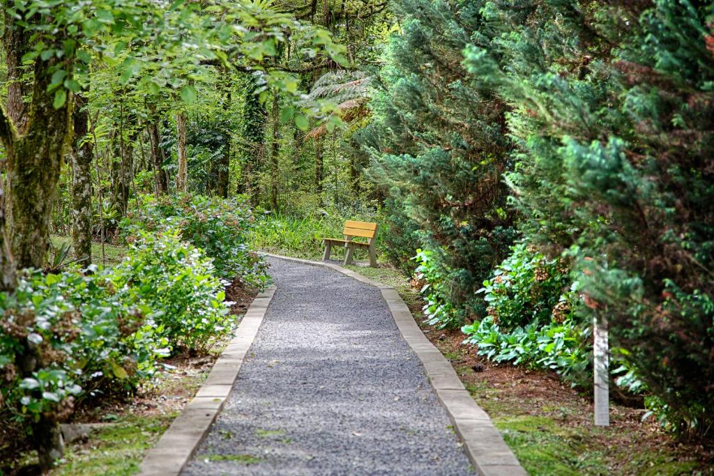 Hotel Gramado Palace  Hotel Gramado Palace