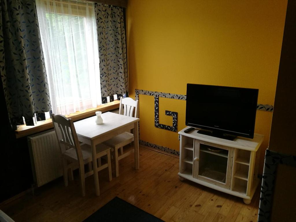 TV a/nebo společenská místnost v ubytování Bebru pirts