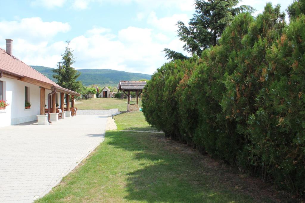 Príroda v okolí penziónu