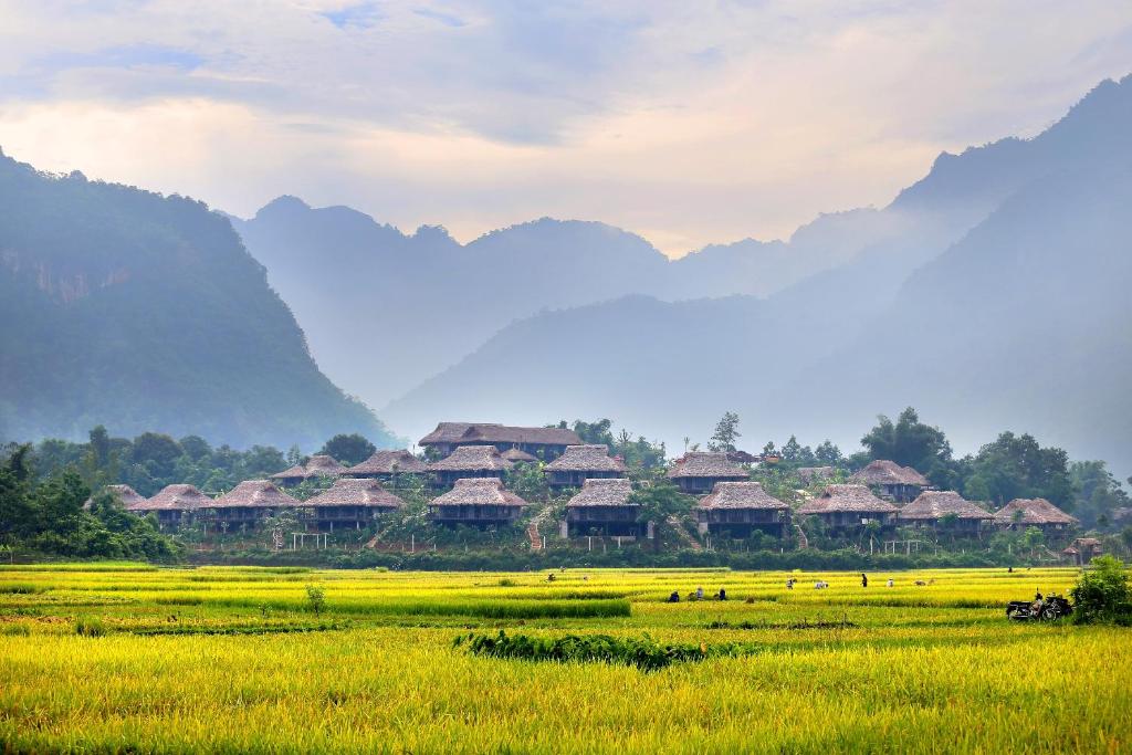 a group of houses in a field with mountains in the background at Mai Chau Ecolodge in Mai Châu