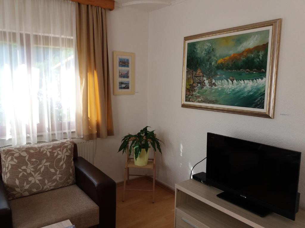 a living room with a couch and a television at Apartment Una Strbacki Buk in Kulen Vakuf