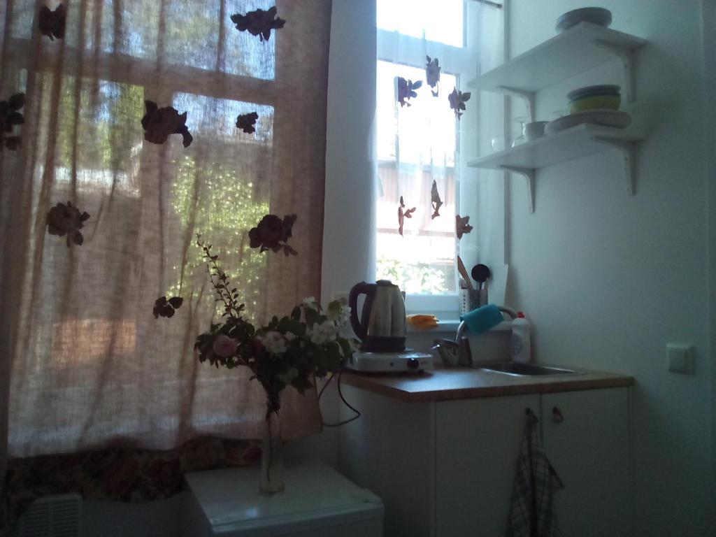 kuchnia z oknem i wazonem kwiatów na ladzie w obiekcie Brown Amber w mieście Lipawa