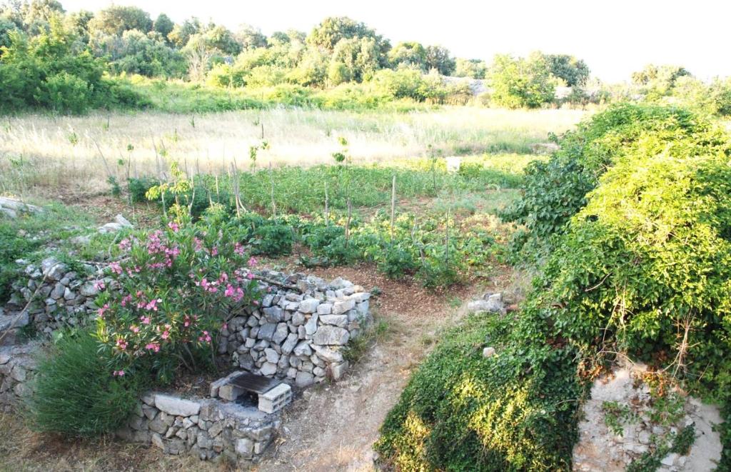 Zahrada ubytování Holiday Home Loznati