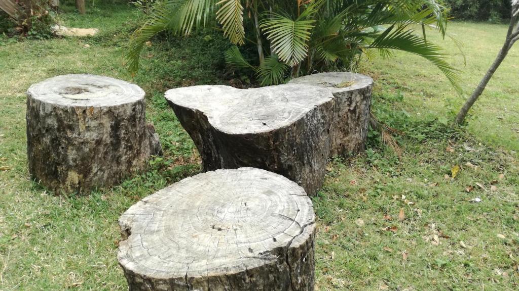 Fotografie z fotogalerie ubytování Sigiri Forest View v destinaci Sigiriya