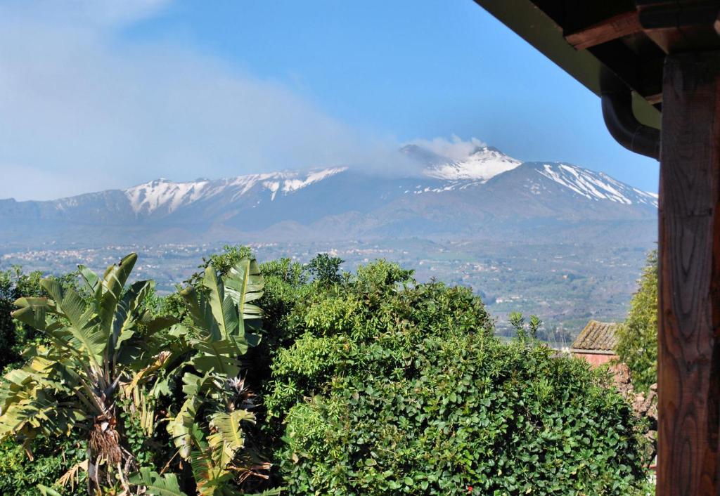 a snow covered mountain in the distance with trees in the foreground at Appartamento Paradise in Fondachello