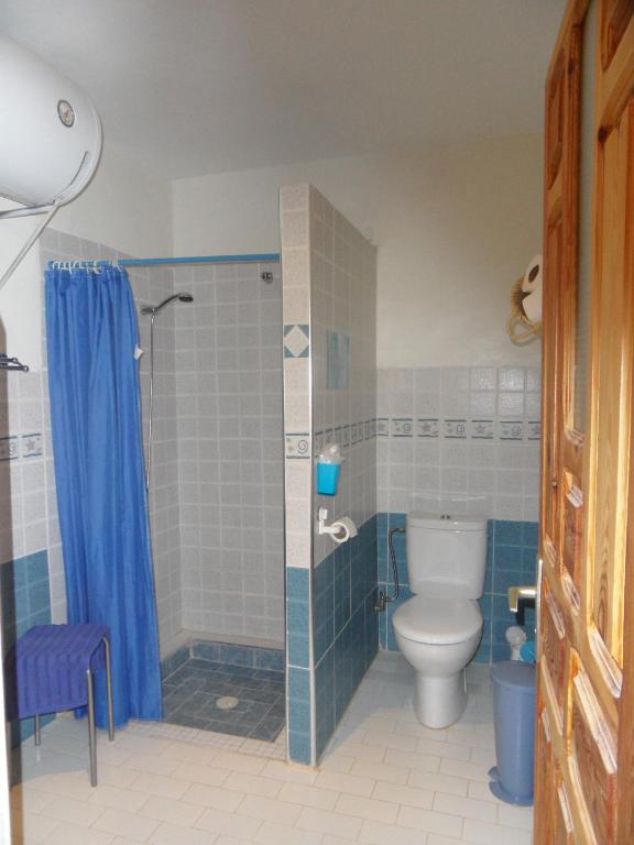 e bagno con servizi igienici e doccia. di Gite Tigmi Azrur a Tabant