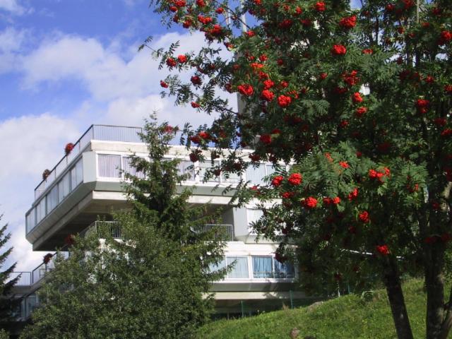 メッツァーナにあるRes. Marilleva 1400 Apt.Solandraの赤い花の木が目の前にある建物
