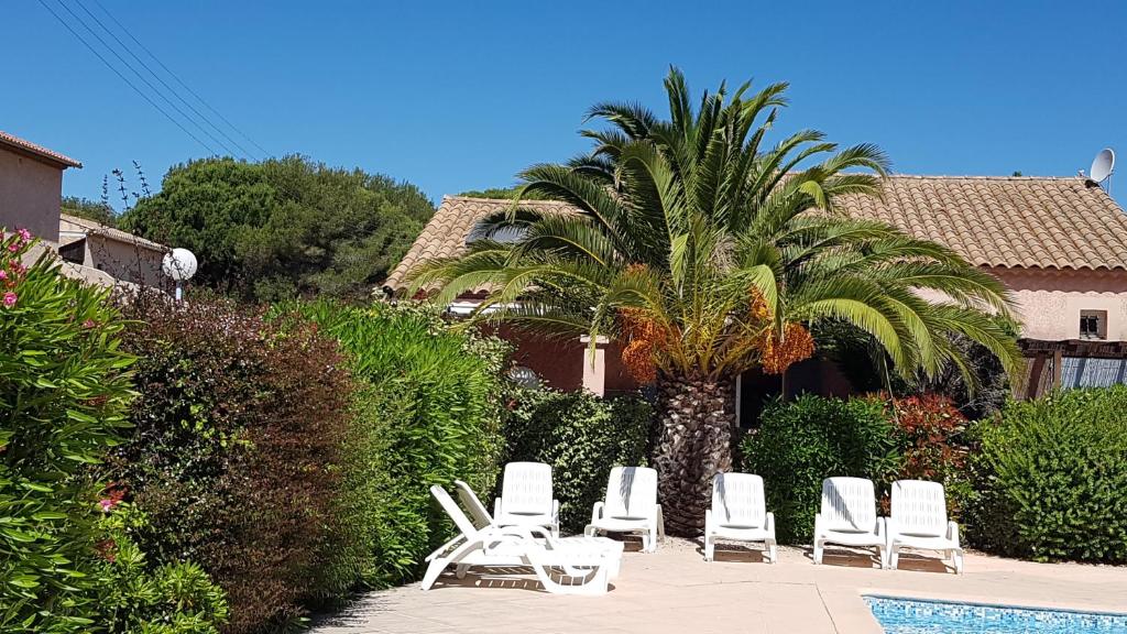 a group of chairs and a palm tree next to a pool at Mes maisons à la Pinède in Sainte-Maxime