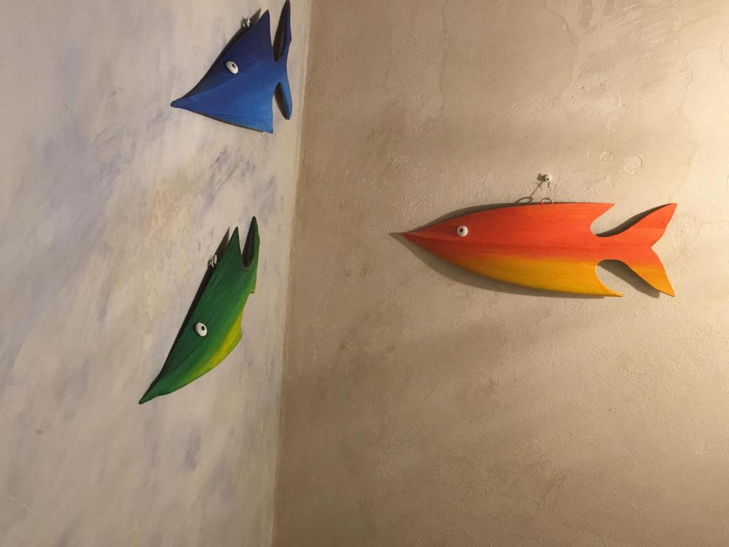 Fotografie z fotogalerie ubytování Daranur v destinaci Essaouira