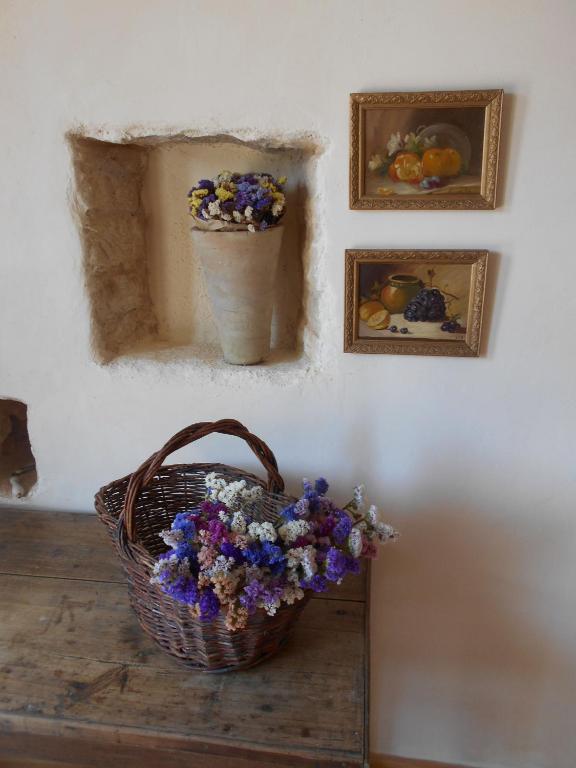 Fotografie z fotogalerie ubytování Bastida de Beata v destinaci Noailles