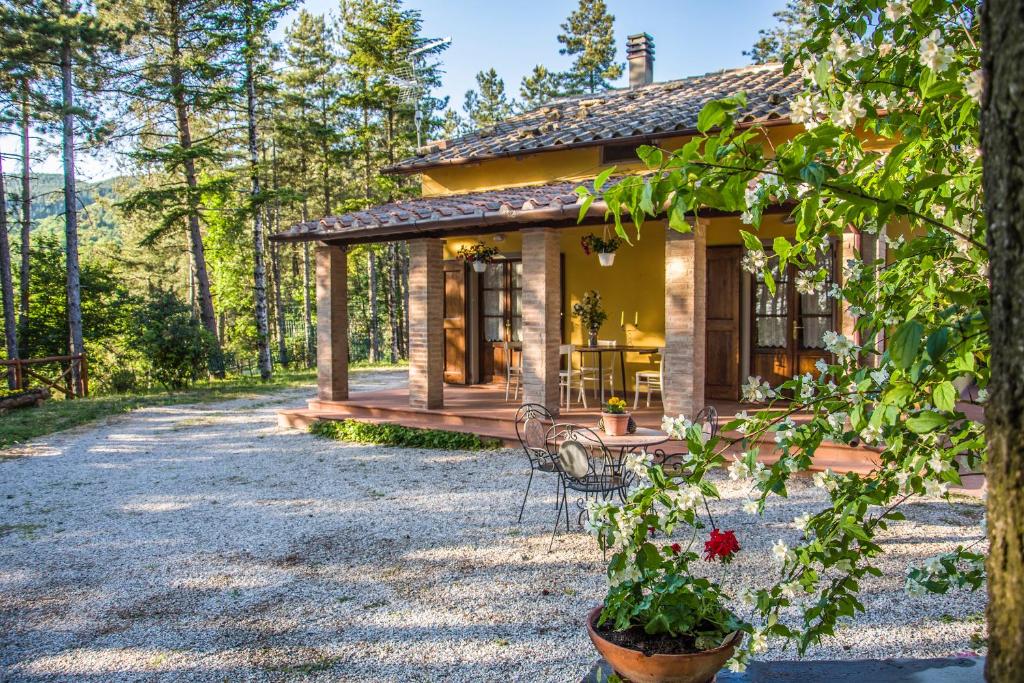 a cottage in the woods with a porch and chairs at Il Ginepro in Cortona