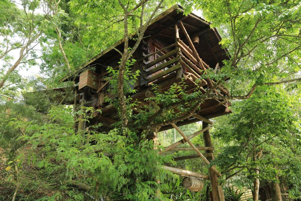 樹屋民宿評價、特色體驗、房價資訊、訂房連結 – 溫馨親子與寵物友善秘境住宿 - 照片 5