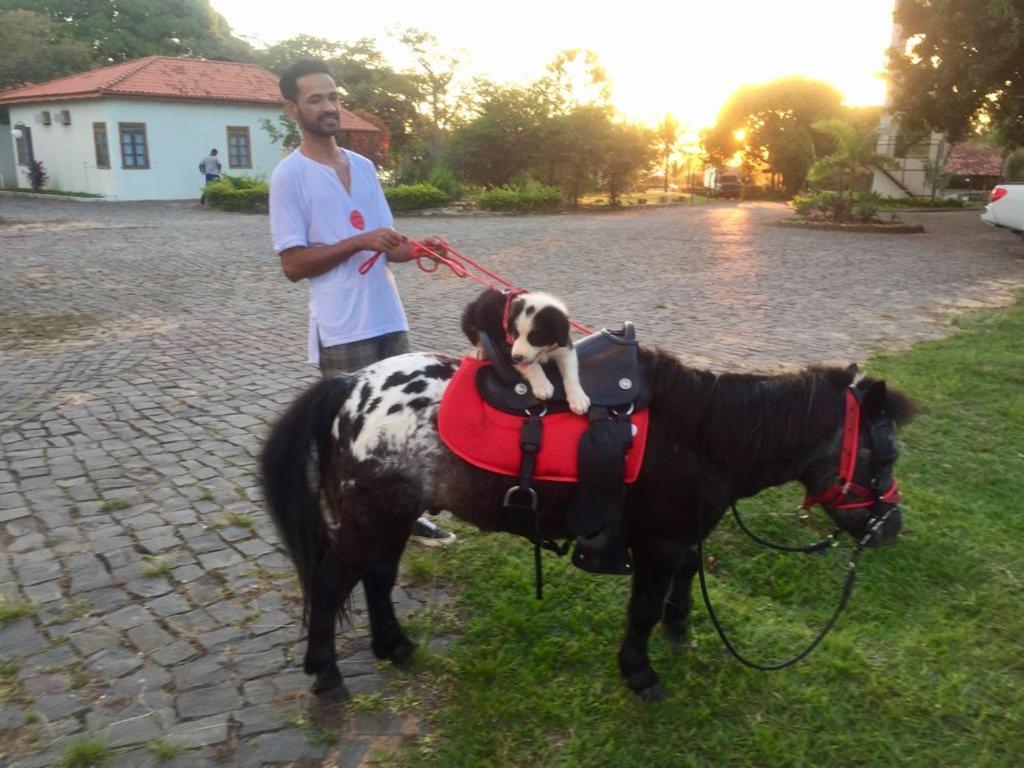  Mar Doce Boutique Hotel