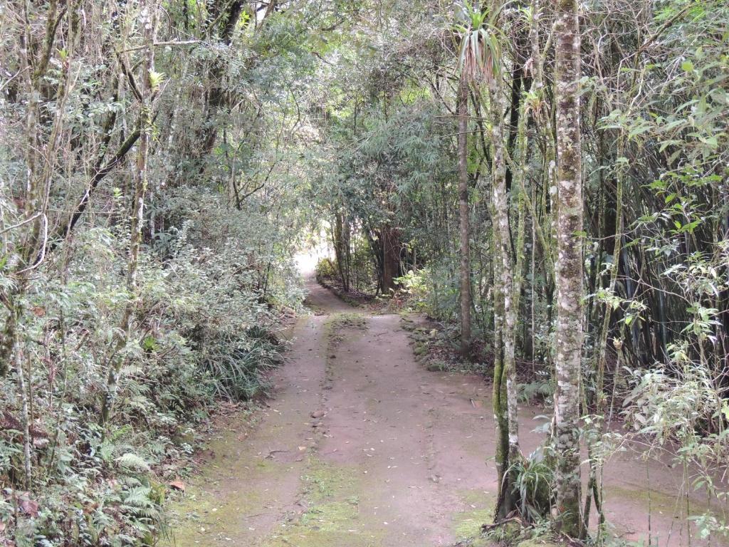  Tô na Roça