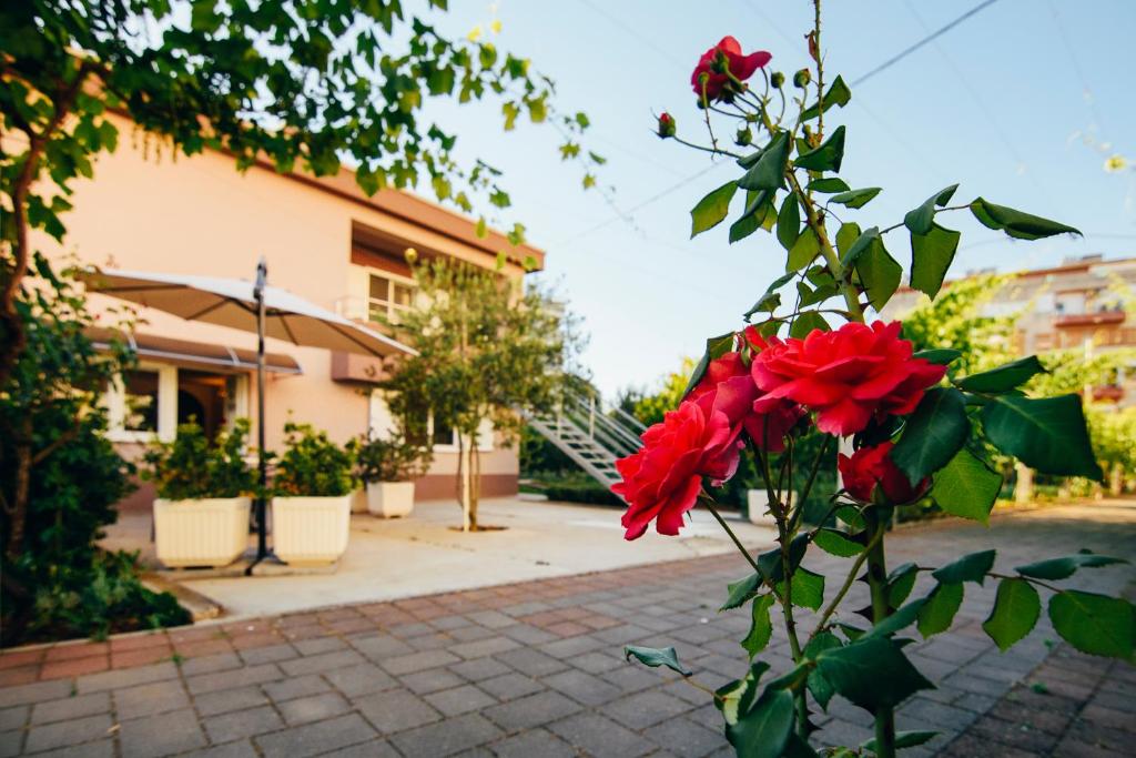 um monte de rosas vermelhas em frente a um edifício em Apartment Relja em Zadar