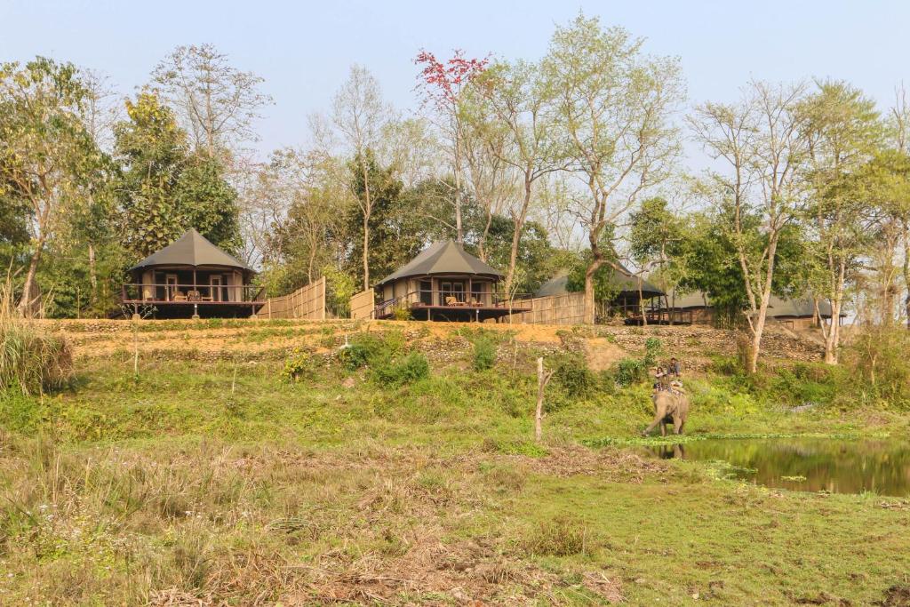 Zahrada ubytování Jagatpur Lodge