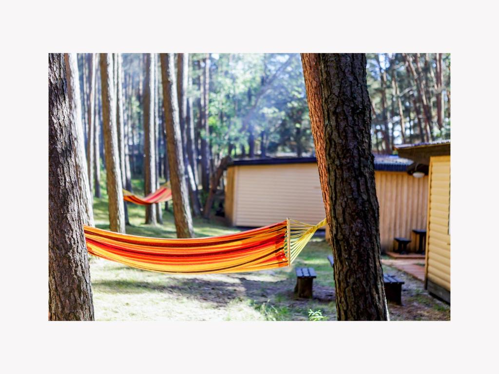 Fotografie z fotogalerie ubytování Po Švyturiu v destinaci Šventoji