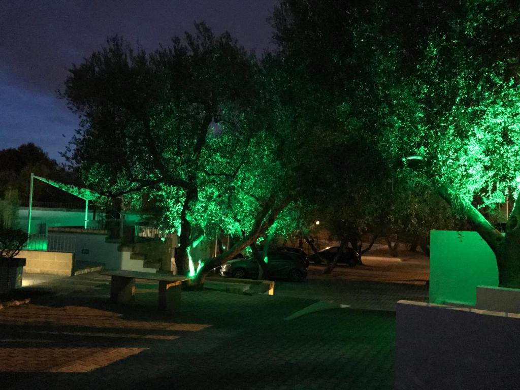 Zahrada ubytování Camping Porto Miggiano
