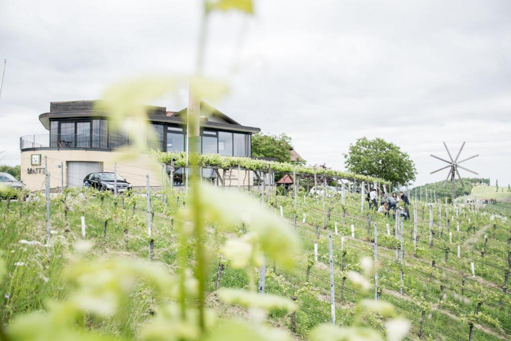 Zahrada ubytování Weinhotel Maitz Wolfgang