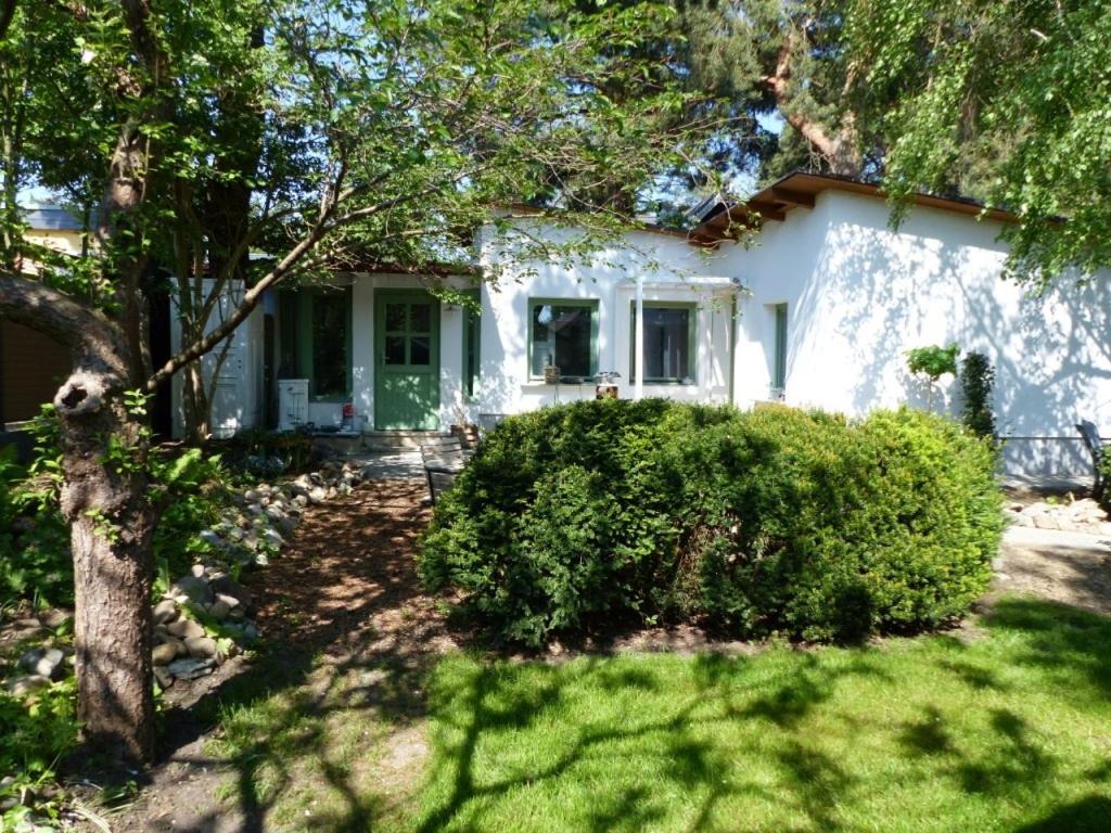 a white house with a tree in the yard at Feine Laube in Berlin