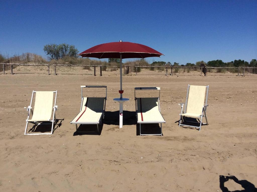 a group of chairs and an umbrella on the beach at Locanda da Scarpa in Cavallino-Treporti