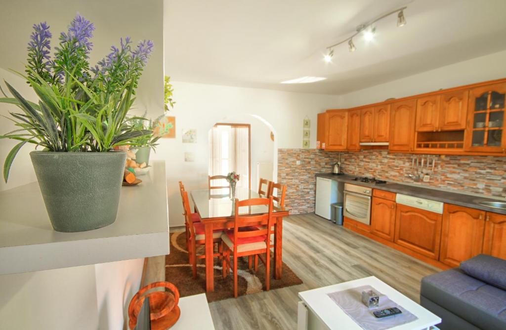 Apartman Katja في غاكوفيتسا: مطبخ وغرفة معيشة مع طاولة وكراسي