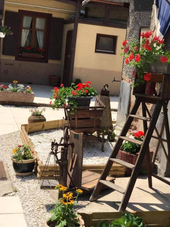 Maison avec terrasse Colmar Centre-Cottage garden terrace Center Old Town Colmar – photo 21