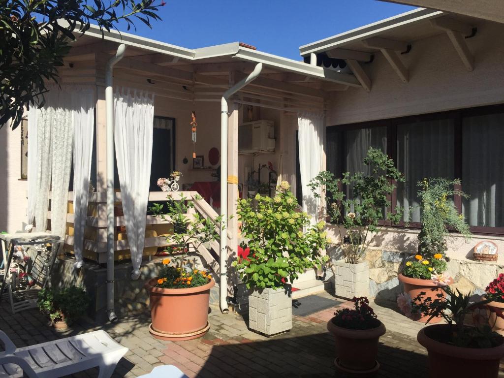 un groupe de plantes en pot en pots sur un patio dans l'établissement Guesthouse Hygge, à Tirana